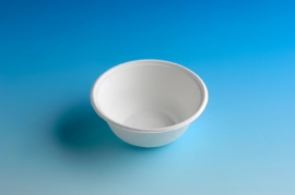 350 Disposable paper Bowl