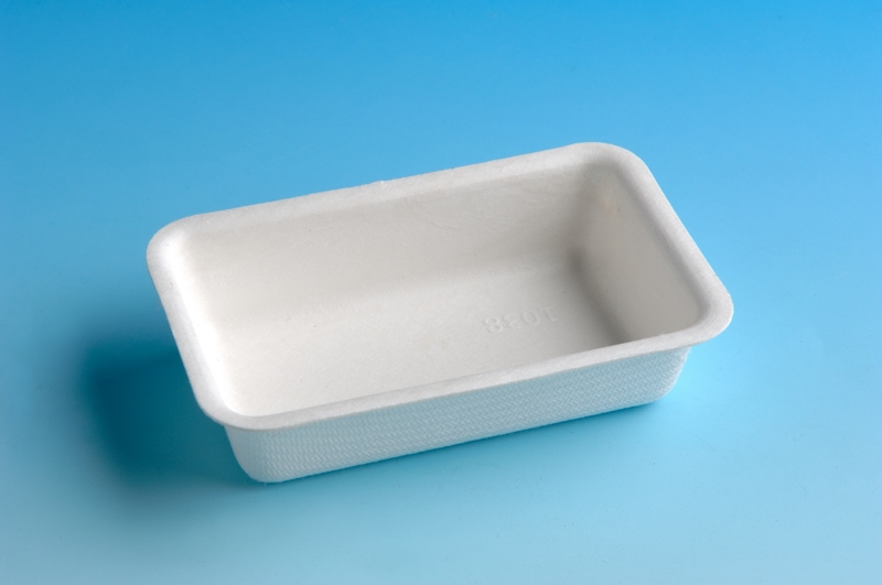 DP-01 Paper Tableware